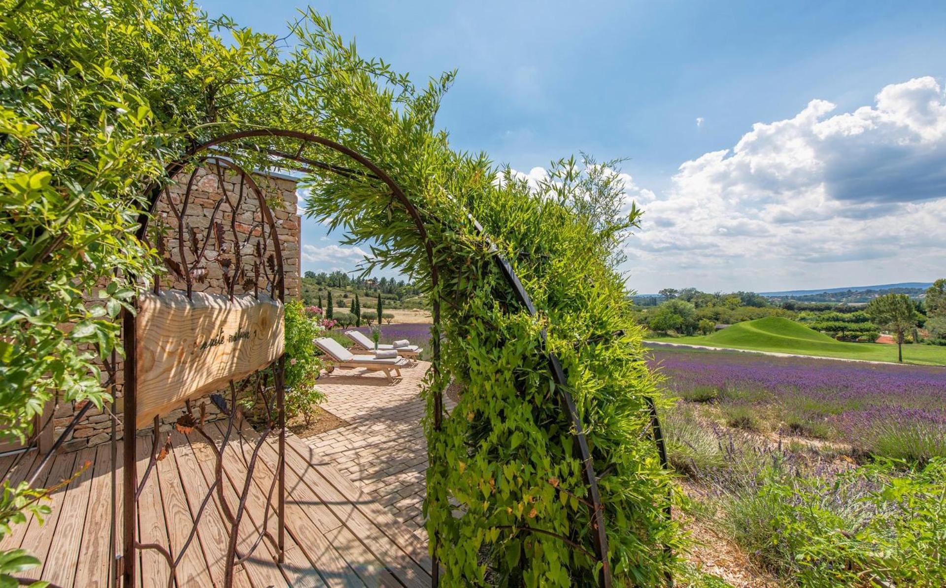 Domaine Des Andeols Ξενοδοχείο Saint-Saturnin-les-Apt Εξωτερικό φωτογραφία